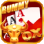 rummy rummy apk